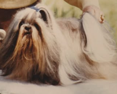 Photo of Ho Pa vom Tschomo-Lungma