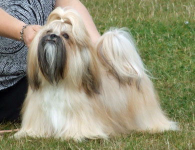 Photo of Miracey Cinnamon Spice